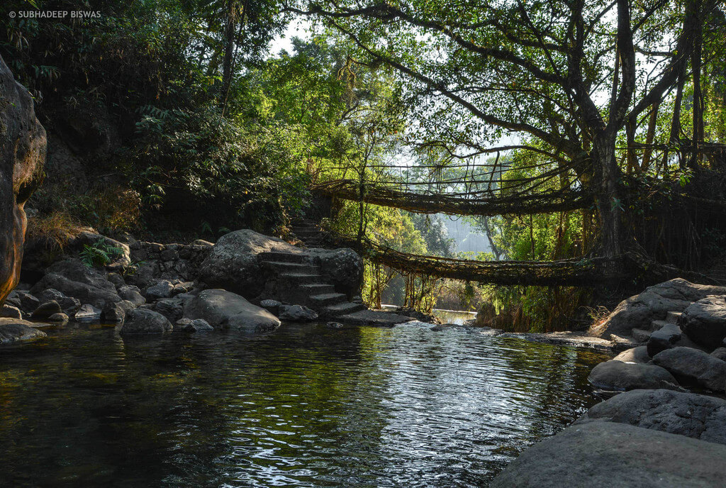 Корневые мосты Черапунджи